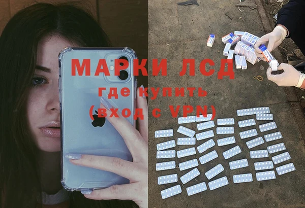 стаф Аркадак