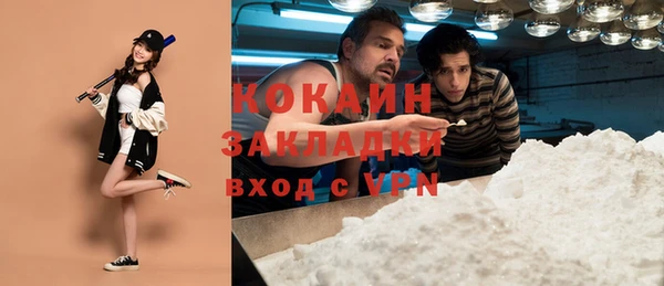 стаф Аркадак
