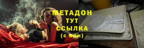 стаф Аркадак