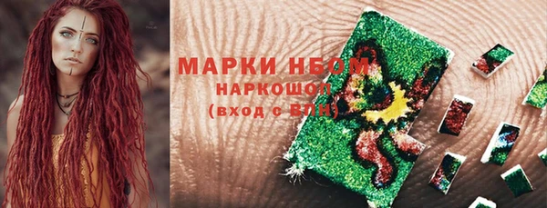стаф Аркадак