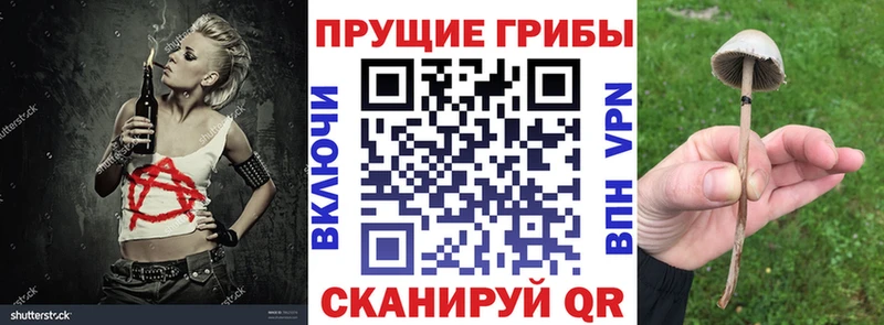 Галлюциногенные грибы мицелий  Ростов 