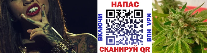 Канабис гибрид Ростов